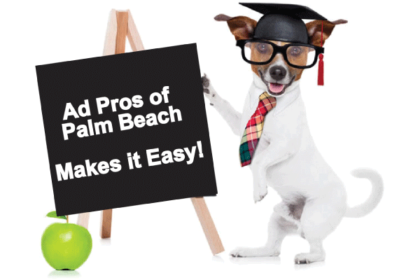 School Supplies & School Spirt